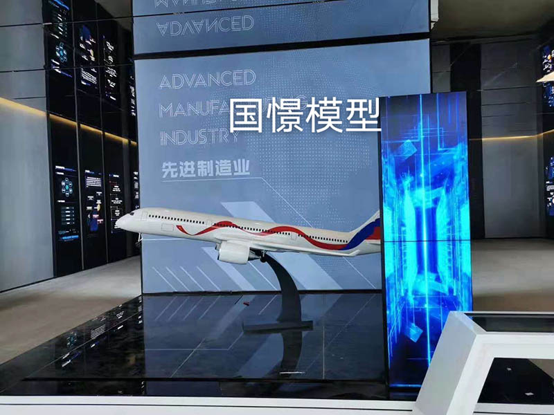 佳县飞机模型