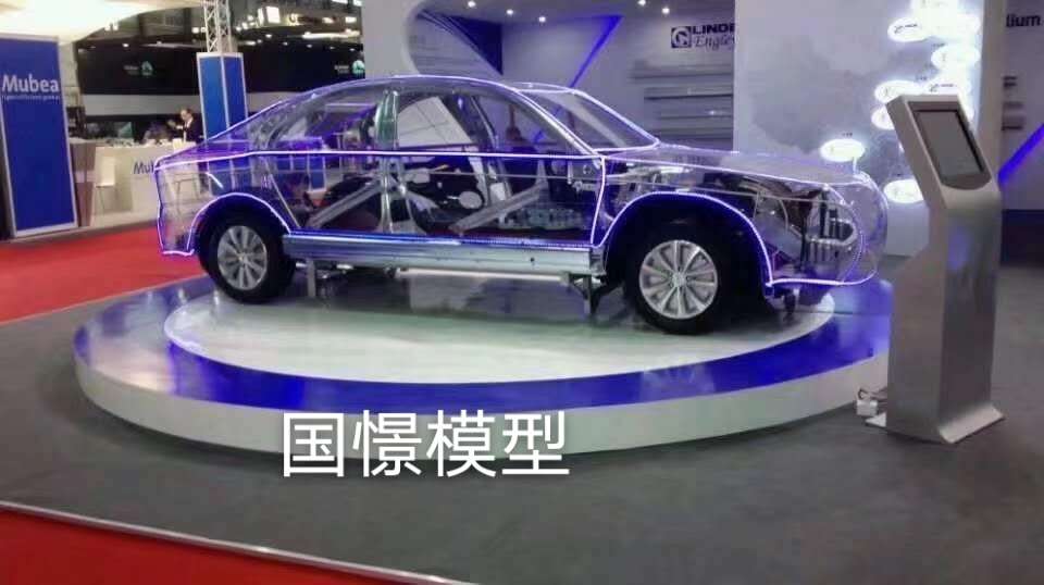 佳县透明车模型